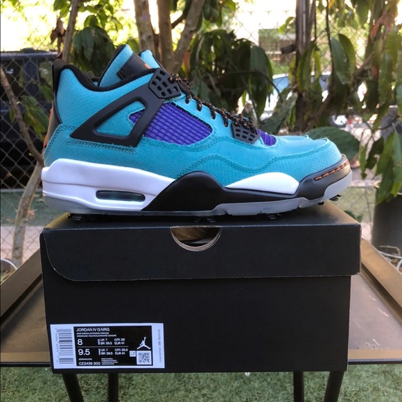 torrey pines jordan 4